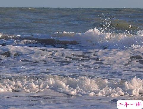 2021最新表白语录大全 2021元旦表白文案2