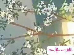 唯美优美的文艺说说带图片 是我如今焚琴煮鹤忘了曾经风花雪月