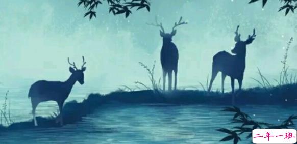 充满诗意的唯美文艺说说带图片7