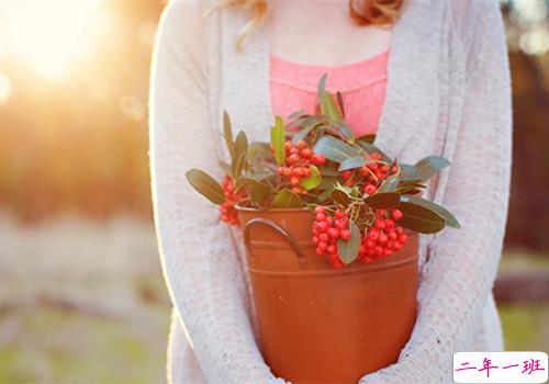 关于青春成长的美到极致的唯美句子带图片7