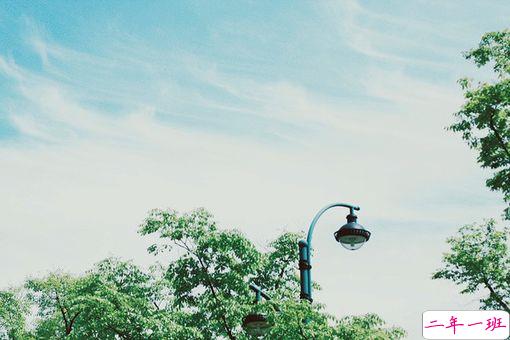 关于青春成长的美到极致的唯美句子带图片11