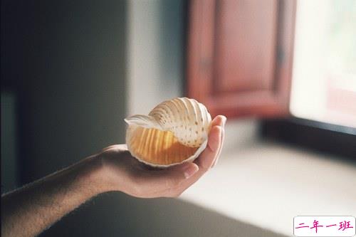 关于青春成长的美到极致的唯美句子带图片12