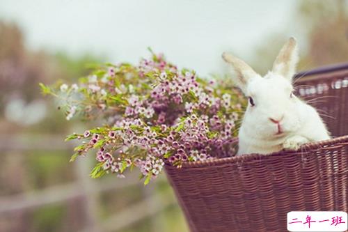 有哪些诗歌读到后心里像开出了一朵花？13