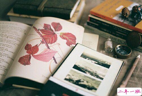 简单美好生活的小清新诗意句子带图片2