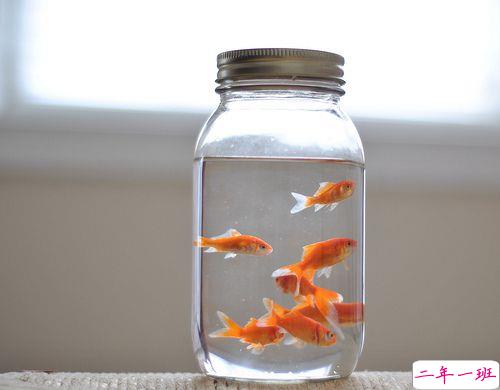 关于人生和爱情的唯美小清新句子带图片 我路过万家灯火而你才是我的归途3