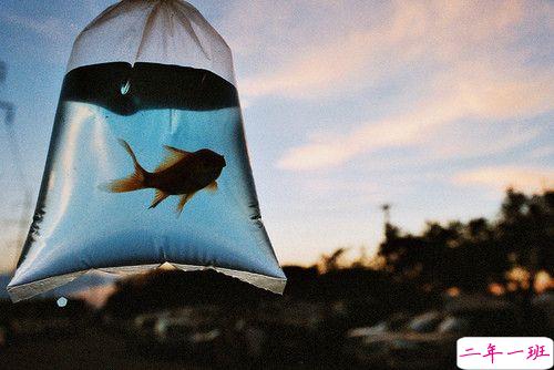 关于人生和爱情的唯美小清新句子带图片 我路过万家灯火而你才是我的归途4