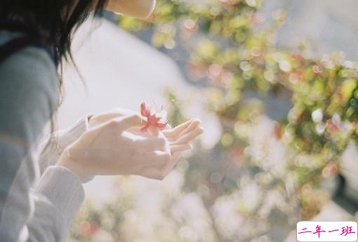 超唯美文艺的说说带图片 你看没看见我都盛开风来不来芬芳都在4