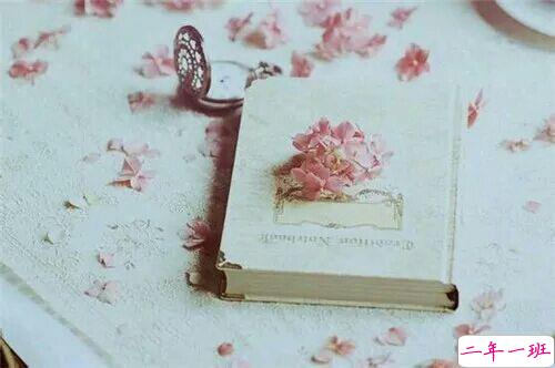 简单美好生活的小清新诗意句子带图片8