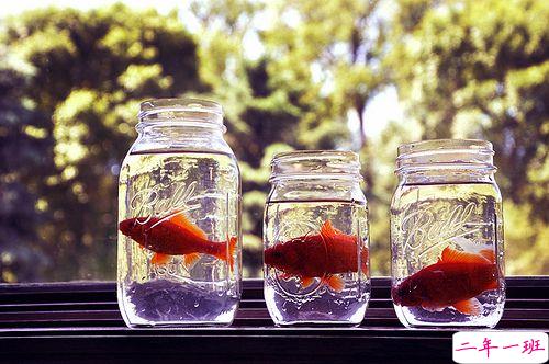 关于人生和爱情的唯美小清新句子带图片 我路过万家灯火而你才是我的归途5