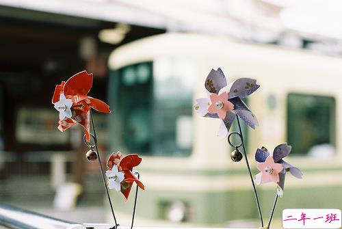 超唯美文艺的说说带图片 你看没看见我都盛开风来不来芬芳都在9