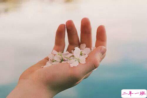 关于人生和爱情的唯美小清新句子带图片 我路过万家灯火而你才是我的归途11