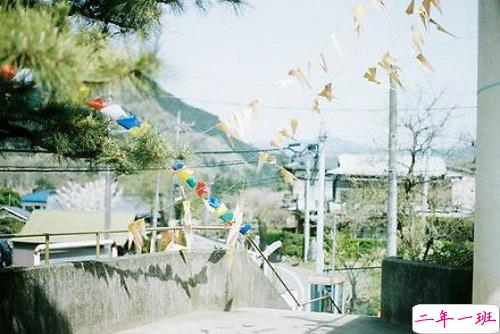 超唯美文艺的说说带图片 你看没看见我都盛开风来不来芬芳都在13