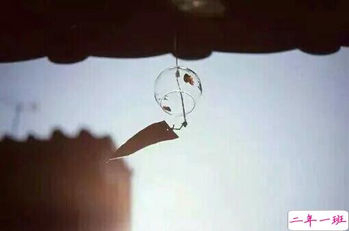 关于人生和爱情的唯美小清新句子带图片 我路过万家灯火而你才是我的归途13