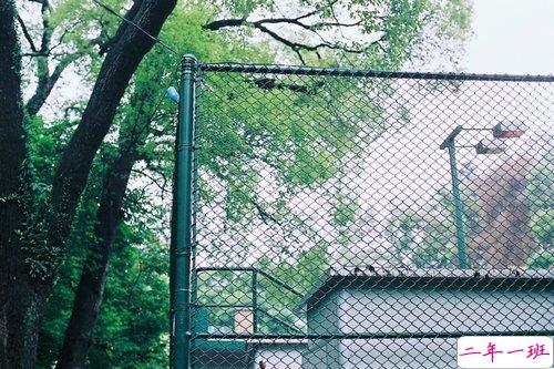 关于人生和爱情的唯美小清新句子带图片 我路过万家灯火而你才是我的归途14