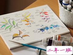 超唯美文艺的说说带图片 你看没看见我都盛开风来不来芬芳都在