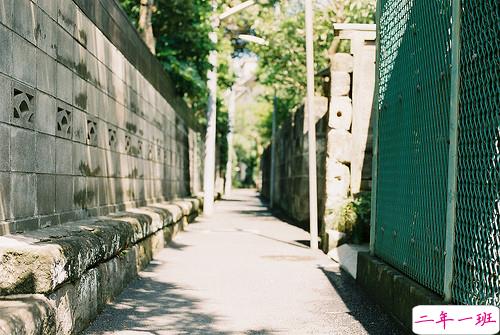 唯美温暖的小清新句子带图片 你是天边的霞光吞吐脚畔的蔷薇含羞8