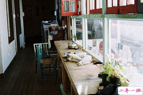 唯美浪漫的说说带图片 最美好的事情就是抬头遇见了你3