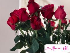 成功率百分百的表白情话 30句高级情话句子大全