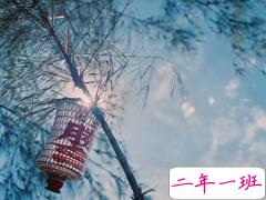 文字控偏爱的文艺小清新简单的唯美句子带图片