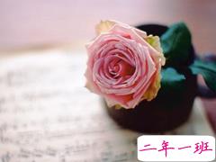 2019白色情人节表白的话合集 314白色情人节最动听真实表白句子