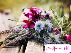 女生表白男生的话可爱简短 2019最美最动听的情话大全微微甜