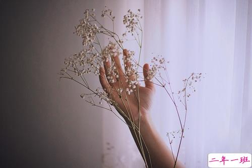 2019微信最真挚表白的话很真实 一股暖流暖流涌上心头的说说2