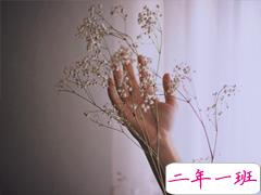 2019微信最真挚表白的话很真实 一股暖流暖流涌上心头的说说