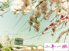 27句无限浪漫的表白情话合集 真心爱一个人的表白说说