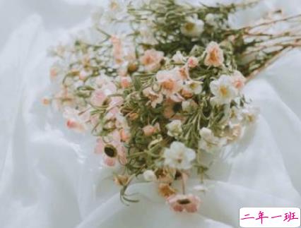 表白小情话最用心也是最走心的 成功率99%的告白情话合集1