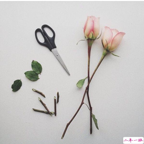 00后青春期暗恋一个人的甜蜜心情说说带图片5