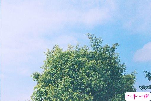 唯美简单的爱情说说带图片 去见你想见的人吧6