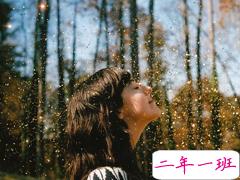 世间最美的情话想说给你听 适合表白的情话句子