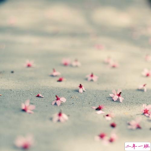 告白时的文艺浪漫情话句子 超浪漫的文艺爱情句子2