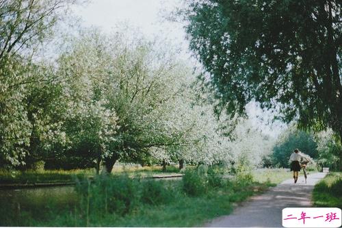 简单唯美的一句话图片说说有道理的那种 生活需要一点诗意2