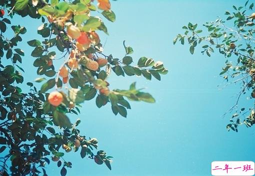 简单唯美的一句话图片说说有道理的那种 生活需要一点诗意3