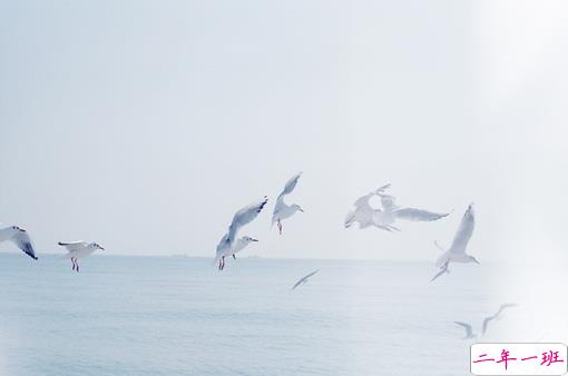 简单唯美的一句话图片说说有道理的那种 生活需要一点诗意7