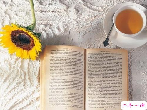 简单唯美的一句话图片说说有道理的那种 生活需要一点诗意10