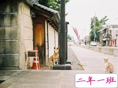 特别甜蜜的情话句子 很甜很撩的句子