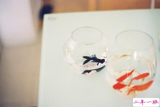 简单而又唯美有哲理的英文说说带图片 你醒在别人的梦里10