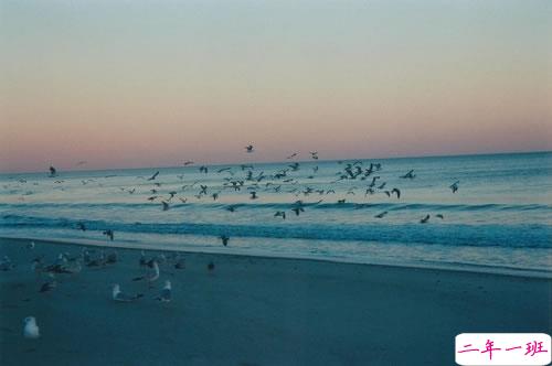 简单而又唯美有哲理的英文说说带图片 你醒在别人的梦里14