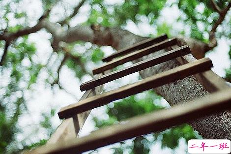 知性女人用的唯美朋友圈说说图片 剪一段爱的时光永久收藏13