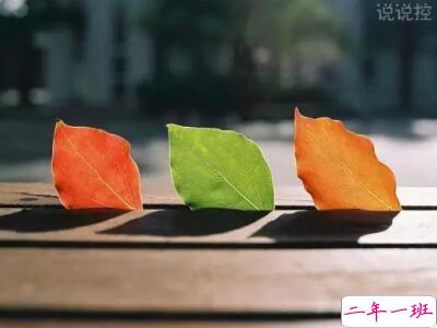 QQ空间唯美说说带图片1