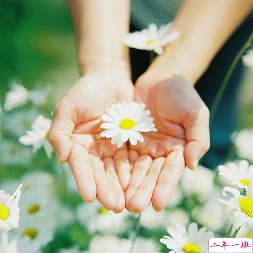 优美说说唯美的句子配图：海底月是天上月，只是镜花水月5