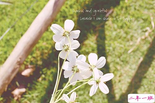 优美说说唯美的句子配图：海底月是天上月，只是镜花水月9