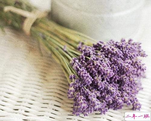 优美说说唯美的句子配图：海底月是天上月，只是镜花水月10