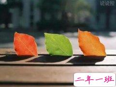 QQ空间唯美说说带图片