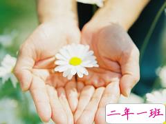 优美说说唯美的句子配图:海底月是天上月,只是镜花水月