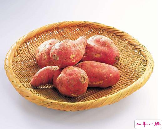 冬天吃第一个红薯的文案 终于有人陪我吃烤红薯了2