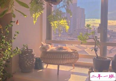 2021发朋友圈的可爱小短句 看看蓝天拥抱大海享受阳光1