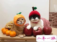 今日份的彩虹屁合集 今天是九宫格装不下的好看呀